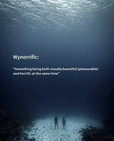 two people standing in the middle of a body of water with words above them that read wynorricc something being both beautiful and horritic at the same time