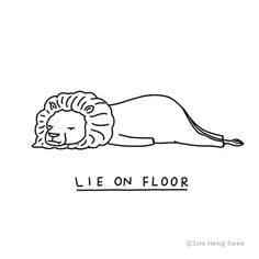 a drawing of a lion laying down with the words lie on floor