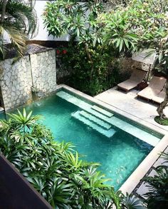 an outdoor swimming pool surrounded by greenery