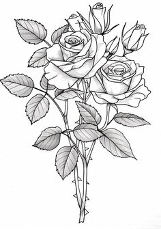 a black and white drawing of three roses