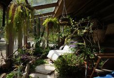 the inside of a house with lots of plants and potted plants on the porch