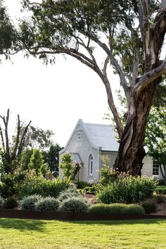 a white house surrounded by lush green trees and shrubbery in the foreground is a large tree