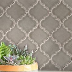 a potted plant sitting on top of a wooden table next to a wallpaper