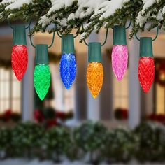 christmas lights hanging from a tree in the snow