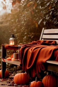 a wooden bench sitting next to a forest filled with lots of leaves and pumpkins