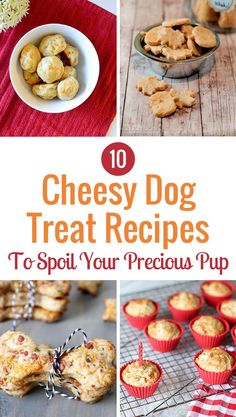 the top 10 cheesy dog treat recipes to spoil your precious pup