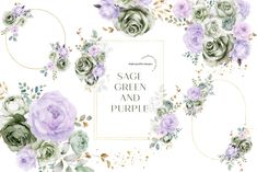 watercolor roses and greenery on a white background with the text sage green and purple