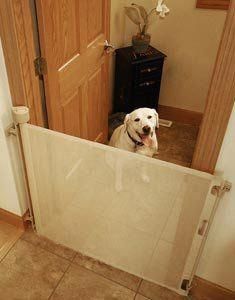 a dog is looking at himself in the mirror while standing behind an open sliding door