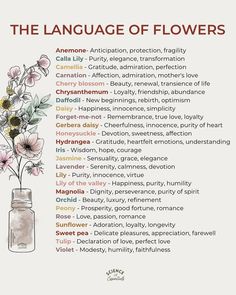 the language of flowers in a jar