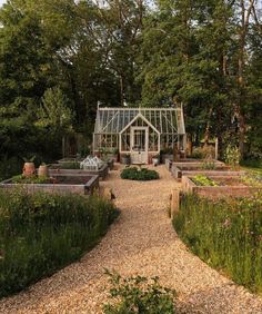 an outdoor garden with lots of plants and flowers in the center, surrounded by trees