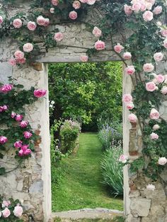 an archway with pink roses growing on it's sides and green grass in the foreground