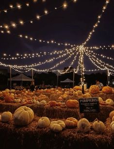 pumpkins and hay bales are on display under string lights at an outdoor market