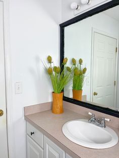 two potted plants sit on the counter in front of a bathroom mirror and sink