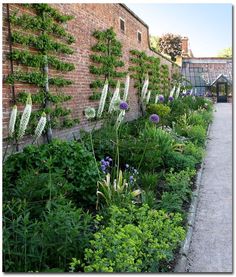 the garden is full of flowers and plants growing on the side of the brick wall