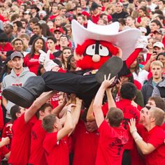 a large group of people in red shirts and one person with a mascot on his head