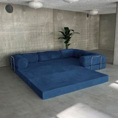 a large blue couch sitting in the middle of a room next to a potted plant