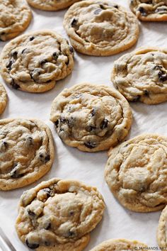 chocolate chip cookies on a baking sheet ready to be baked in the oven for consumption