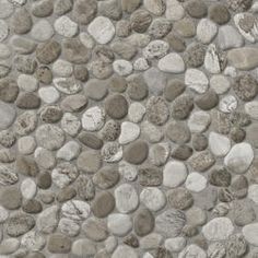 a close up view of rocks on the ground with no one in it or someone else