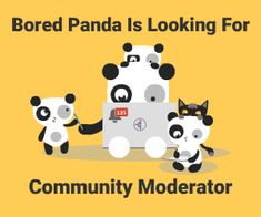 two pandas are standing next to each other in front of a laptop with the words bored panda is looking for community moderator