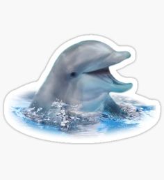 two dolphins are swimming in the water together sticker on a white background with blue accents