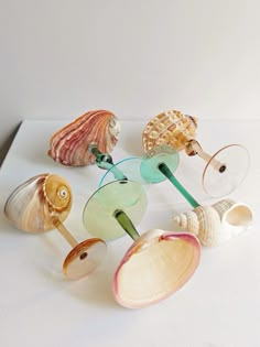 several seashells are arranged on a white surface