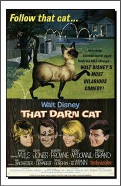 a movie poster for the film that darn cat