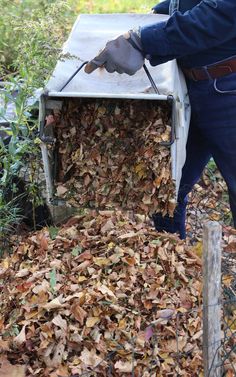 a man is removing leaves from a box