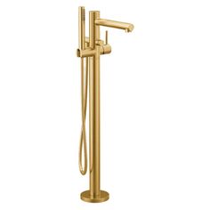 the gold shower faucet is shown on a white background