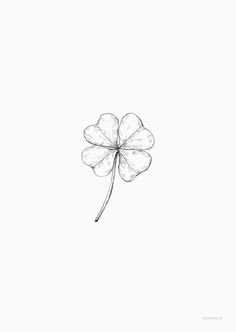 a drawing of a four leaf clover