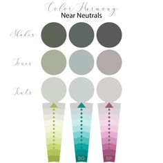 the color scheme for neutrals and neutrals is shown in three different colors, each with