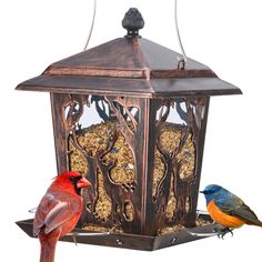 two birds sitting on top of a bird feeder