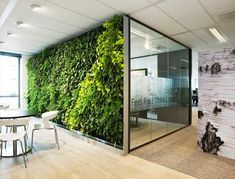 an office with a green wall in the middle