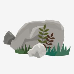 an image of rocks and plants in the grass on a white background with green leaves