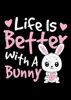 an image of a bunny saying life is better with a bunny