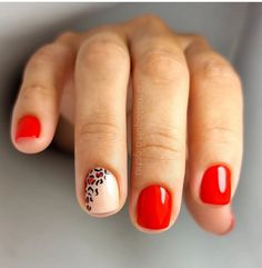 Red Nails Nail Art, Short Red Nails Design, Red Leopard Print Nails, Cute Red Nails, Red Summer Nails, Shiny Nails Designs, Designs For Short Nails, Pretty Nail Colors, Leopard Print Nails