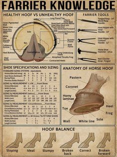 an old poster with instructions on how to use the foot and shoe care tools for shoes