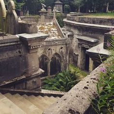 an old cemetery with lots of tombstones and plants growing out of the ground below