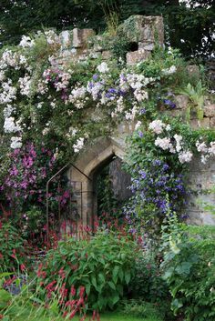 an old stone building covered in flowers and greenery with vines growing up the side