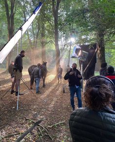 several people are filming horses in the woods