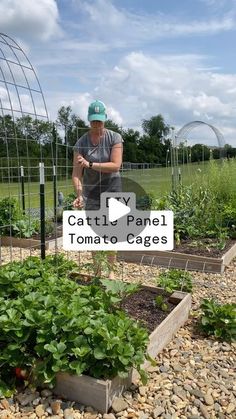 a man standing next to a garden filled with plants