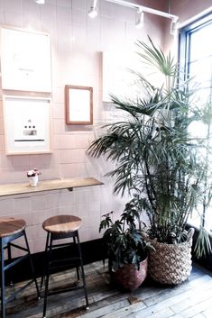 two chairs and a table in a room with potted plants on the floor next to them