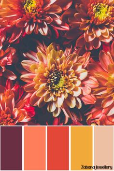 A colour palette showing colours of a chrysanthemum Goat Milk Products, November Flower, Topaz And Citrine, November Colors, Flower Chrysanthemum, November Birth Flower, November Aesthetic, Birth Colors, Palette Challenge