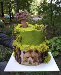 a cake decorated with moss and a bear on the top is being held by someone