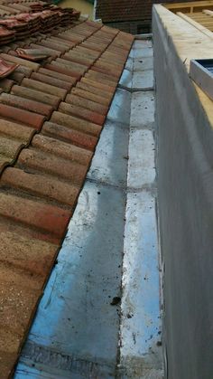 a cat is sitting on the edge of a roof next to a gutter hose