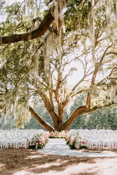 an outdoor ceremony setup with white chairs and flowers on the ground under a large tree