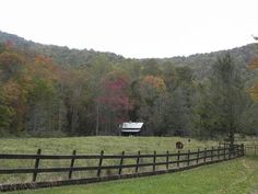 a horse grazing in a field next to a wooden fence with a barn in the background