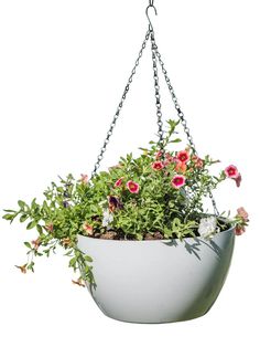 a hanging planter filled with lots of flowers