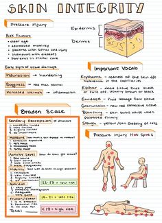 an info sheet with information about skin and body types on it, including the diagram