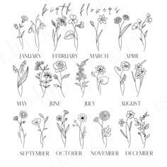 an image of flowers for the month of november and months of march, with words written in