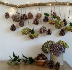 there are many pine cones hanging on the wall next to some flowers and plants in vases